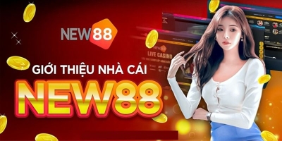 New88 - Sân chơi với chất lượng dịch vụ uy tín và chuyên nghiệp